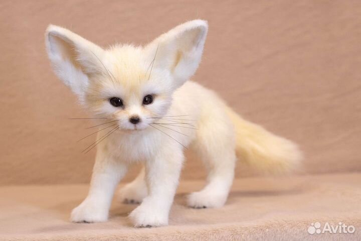 Мягкая игрушка Фенек лиса ручной работы