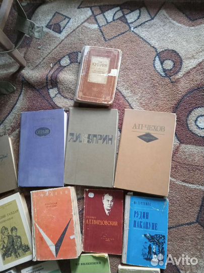 Книги классика(школьная программа)