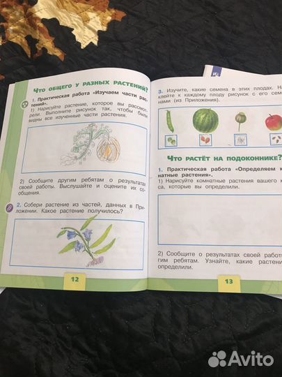 Рабочая тетрадь Окружающий мир Плешаков 1 класс 2