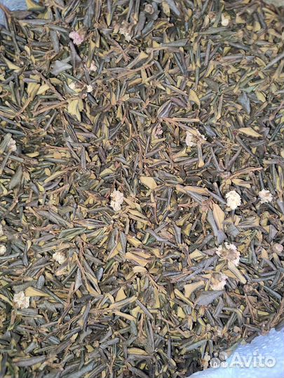 Саган дайля