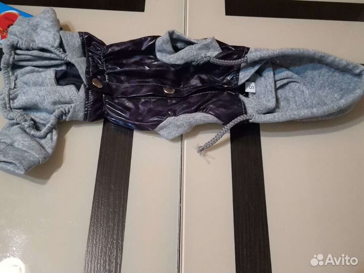 Одежда для маленькой собаки