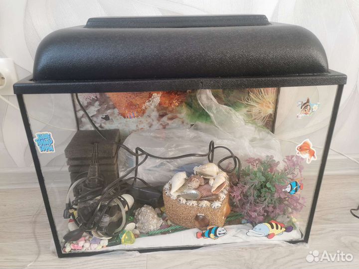 Аквариум