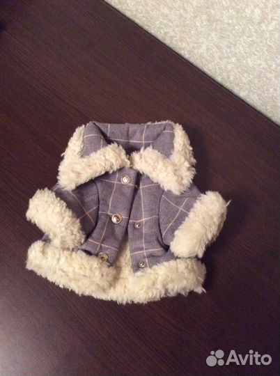 Одежда для собак