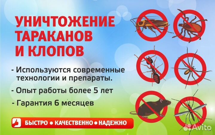 Уничтожение тараканов и клопов