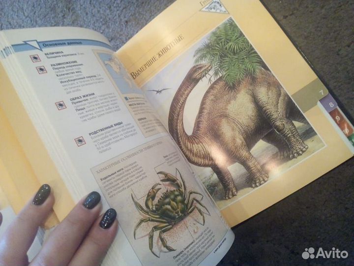 Карточки в мире дикой природы