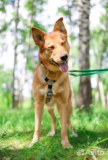 Мне грустно и одиноко