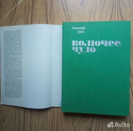 Колючее чудо. А. Урбан. 1983г