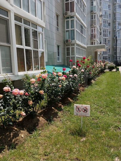 2-к. квартира, 54 м², 4/8 эт.