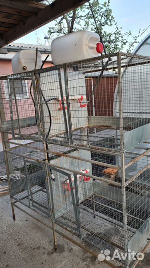 Большая клетка для птиц