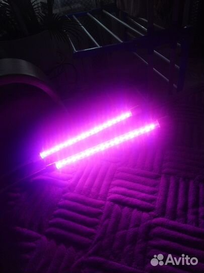 Фитолампа для растений