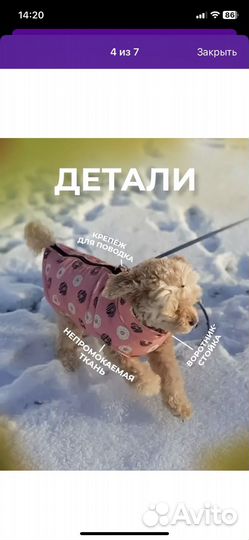 Жилетка для собак