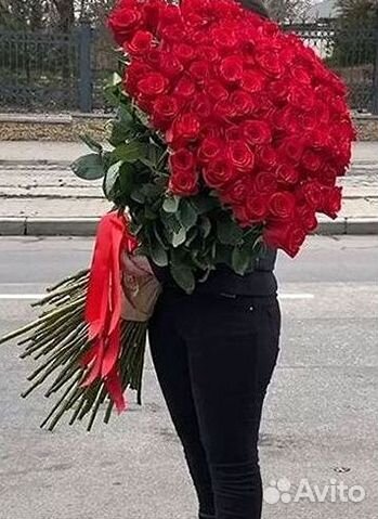Розы высокие 150 160 170 180 190 200см
