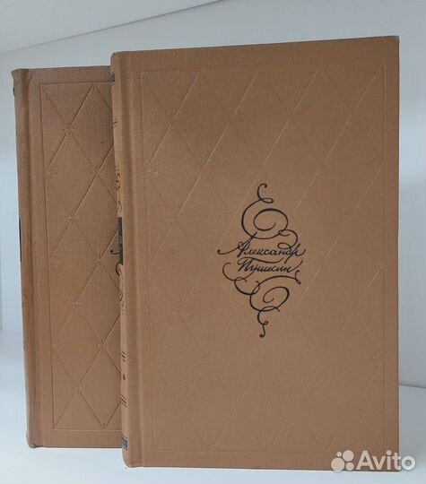 А. С. Пушкин. Избранное в 2х томах. 1970 г