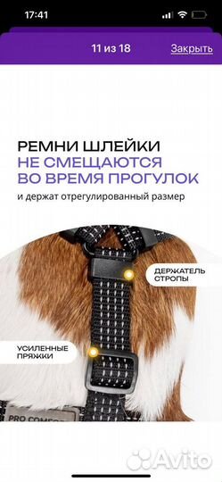 Шлейка для маленькой собаки