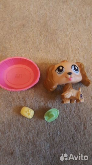 Наборы Littlest Pet shop