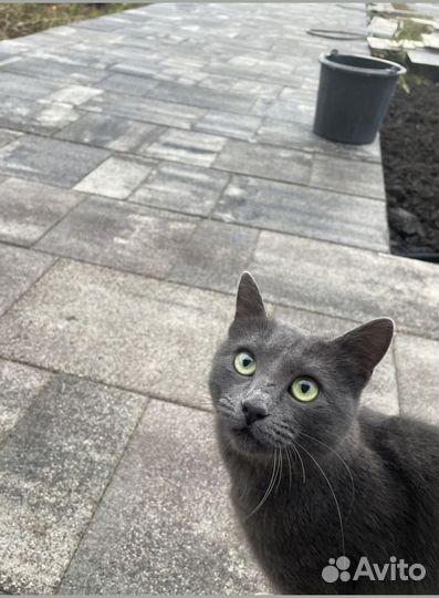 Тротуарная плитка по госту заказ от 120 м2