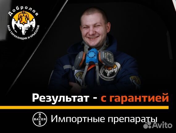 Уничтожение тараканов и клопов. Дезинсекция