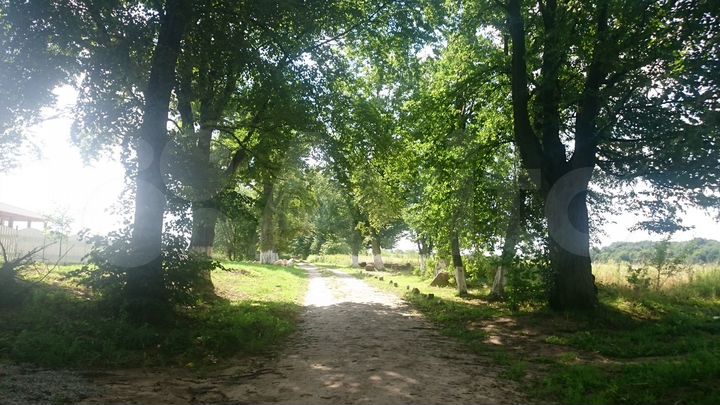 Участок 8 сот. (ИЖС)