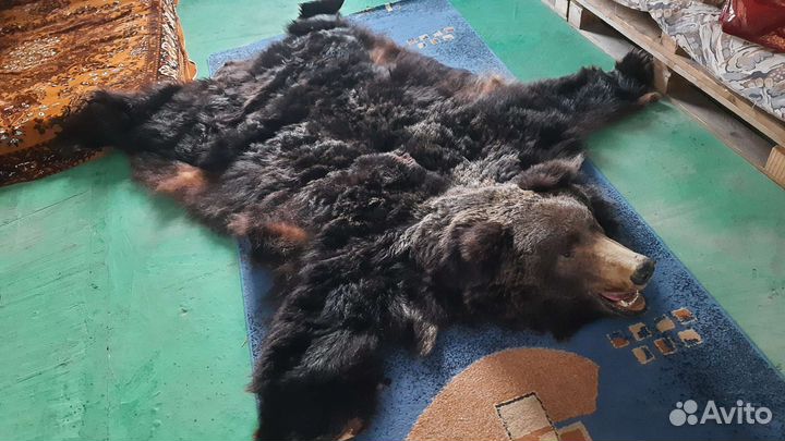 Шкура большого бурого медведя имитация