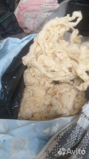 Шерсть овечья