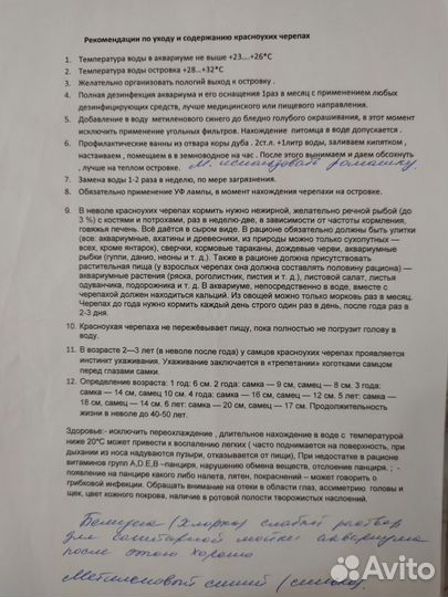 Красноухая черепаха с аквариумом