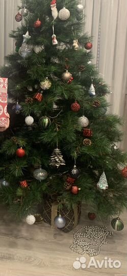 Елка с шишками «Царь Елка»