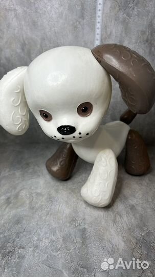 Собака охтален редкая