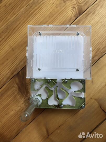 Муравьиная ферма бу