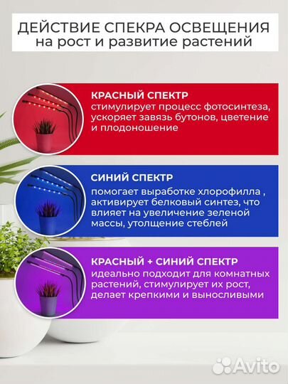 Фито лампа для растений