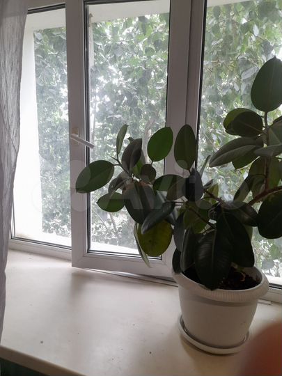 Квартира-студия, 19 м², 4/9 эт.