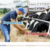 Животноводческое агентство в городе, Мале