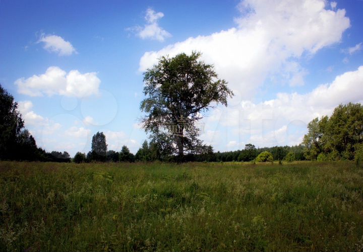 Участок 13,77 га (ИЖС)