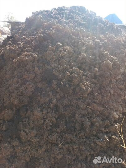 Навоз бесплатно самовывоз