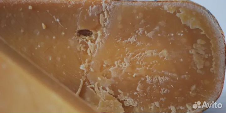 Сыр Броккель Каас (Brokkel Kaas) 1001 ночь