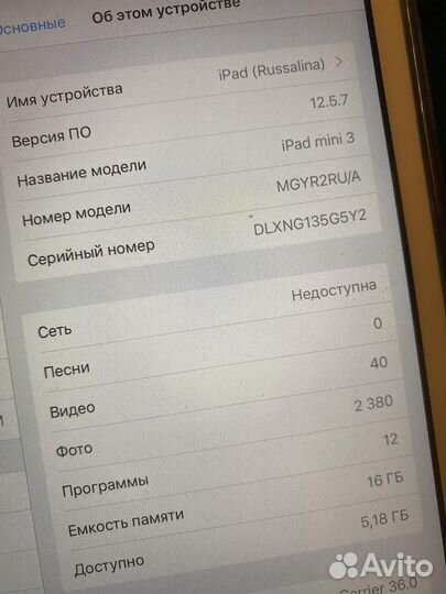 iPad mini 3 16 gb