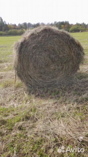 Сено в тюках
