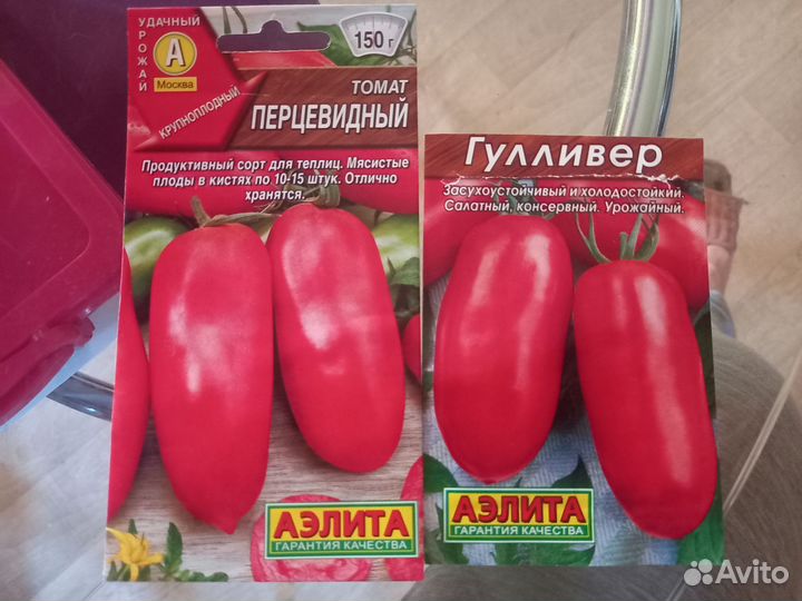 Рассада томатов