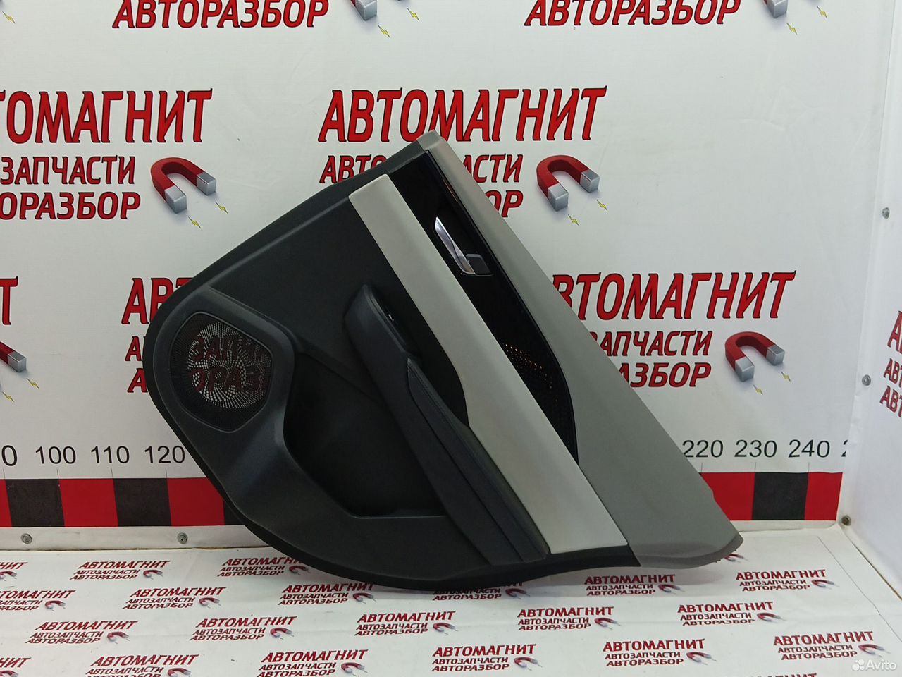 Обшивка двери задней правой Evolute i-pro