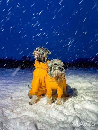 Комбинезон для собаки Balu