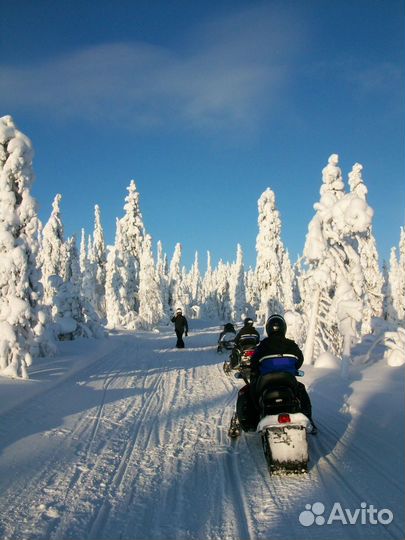 Прокат, туры на снегоходах brp ski-doo, stels