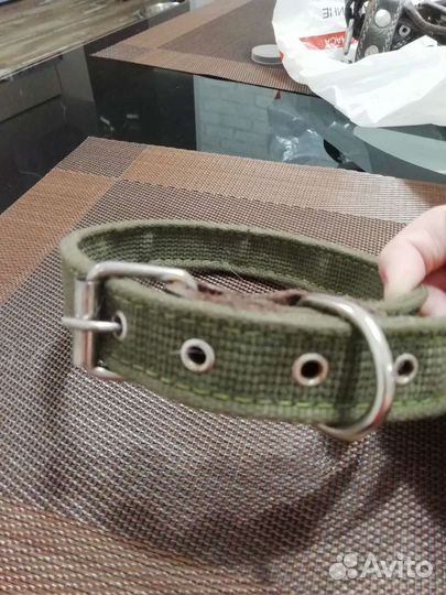 Ошейник для собак