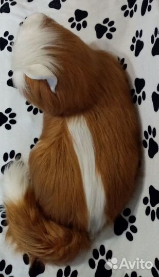 Гигантский кот для фотостудии