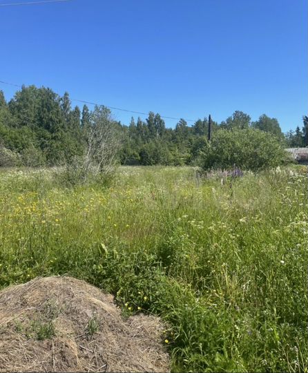 Участок 52 сот. (ИЖС)