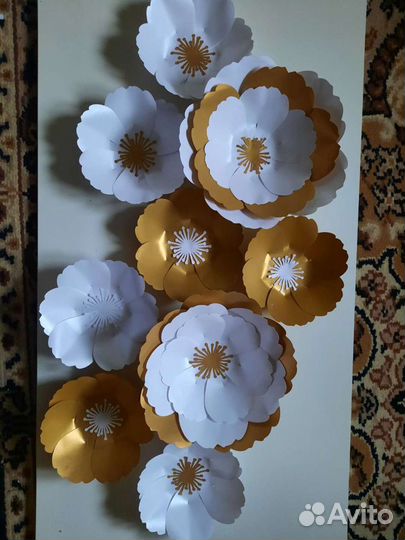 Интерьерные цветы