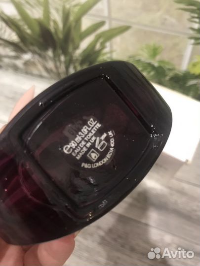 Lacoste L12.12 pour elle magnetic