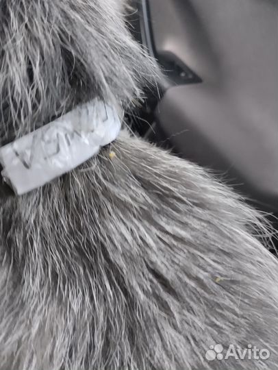 Шкурка животного