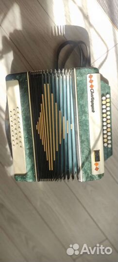 Гармонь беларусь и баян Молодечно