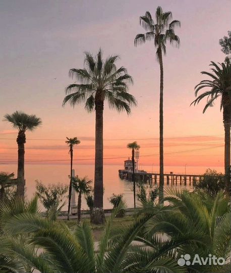 Нестандартные туры Абхазия, Сочи, Роза Хутор