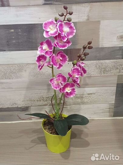 Орхидея фаленопсис, искусственная орхидея, орхидея