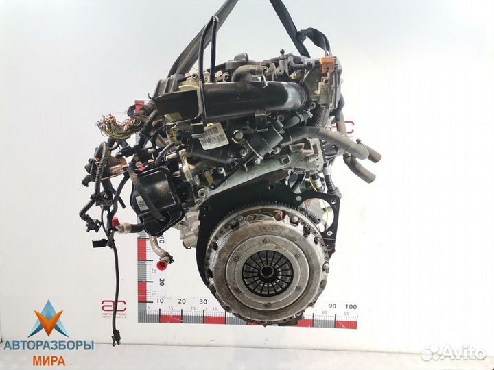 Форсунка Opel Insignia (A) 2009 55566050